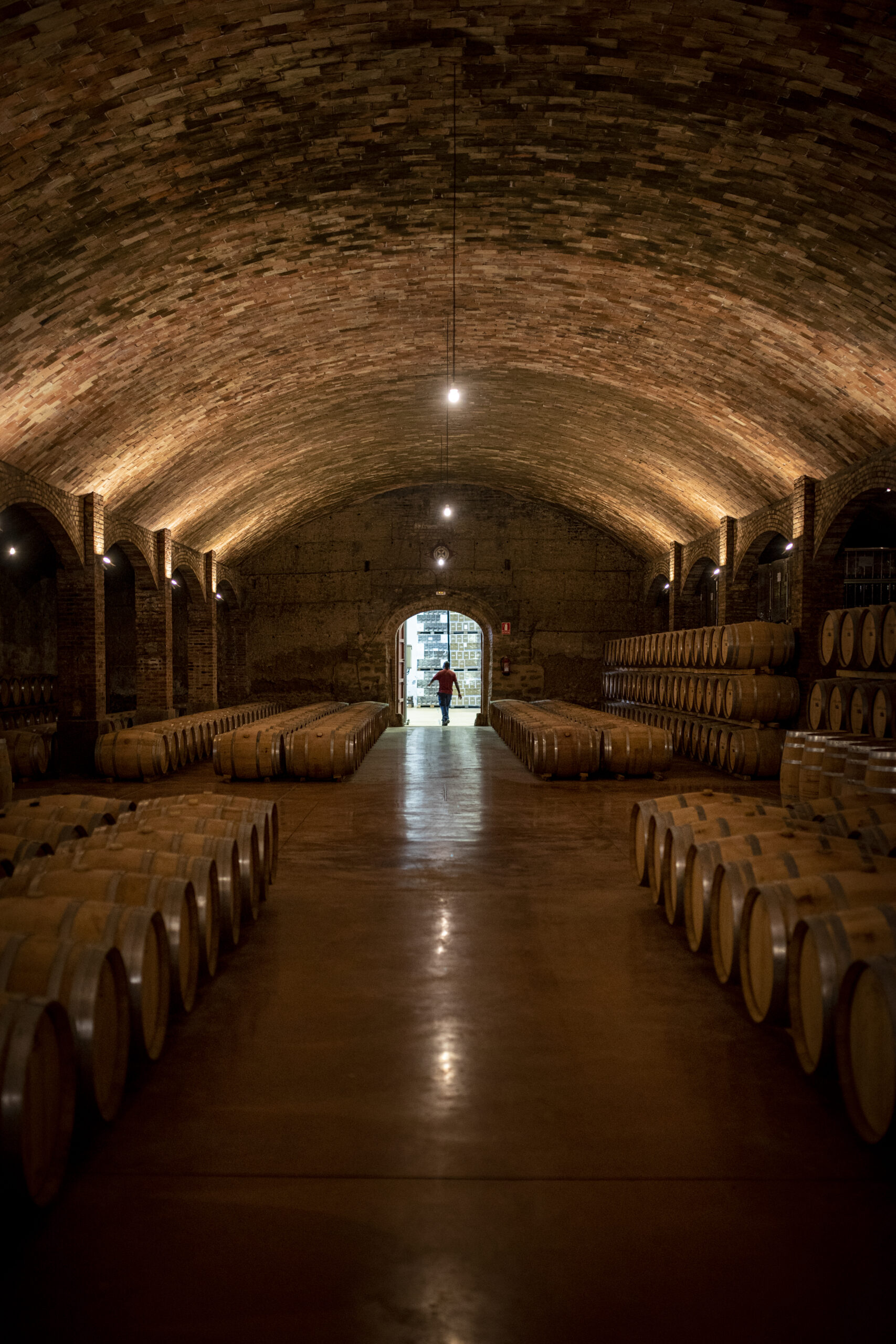 CDS_Castell-del-Remei_drinkinmoderation_39